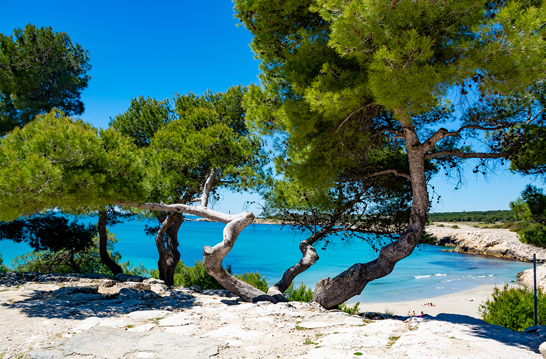 News Camping Le Mas 4 Stars Martigues