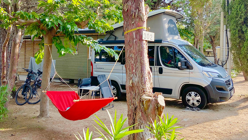 Camping Le Mas : caravane pinede