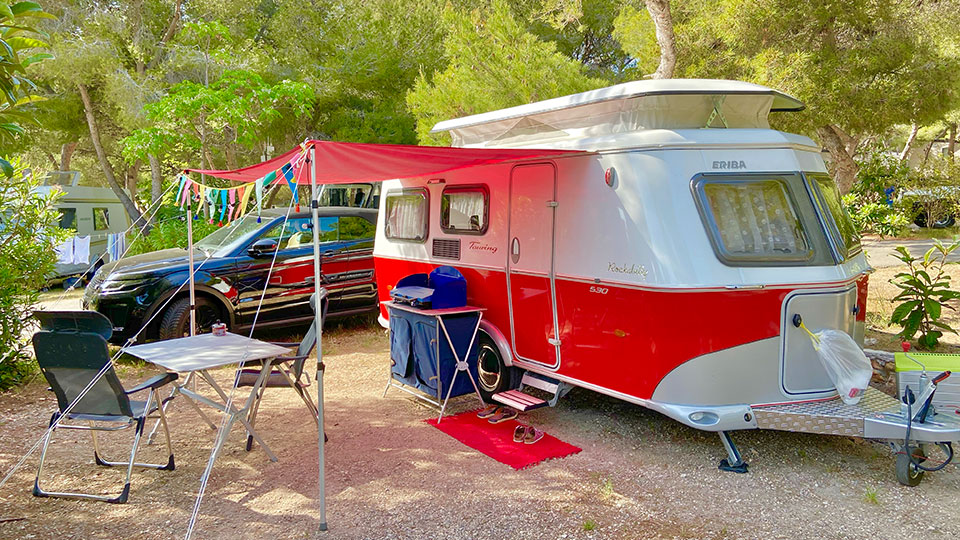 Camping Le Mas : caravane pinede